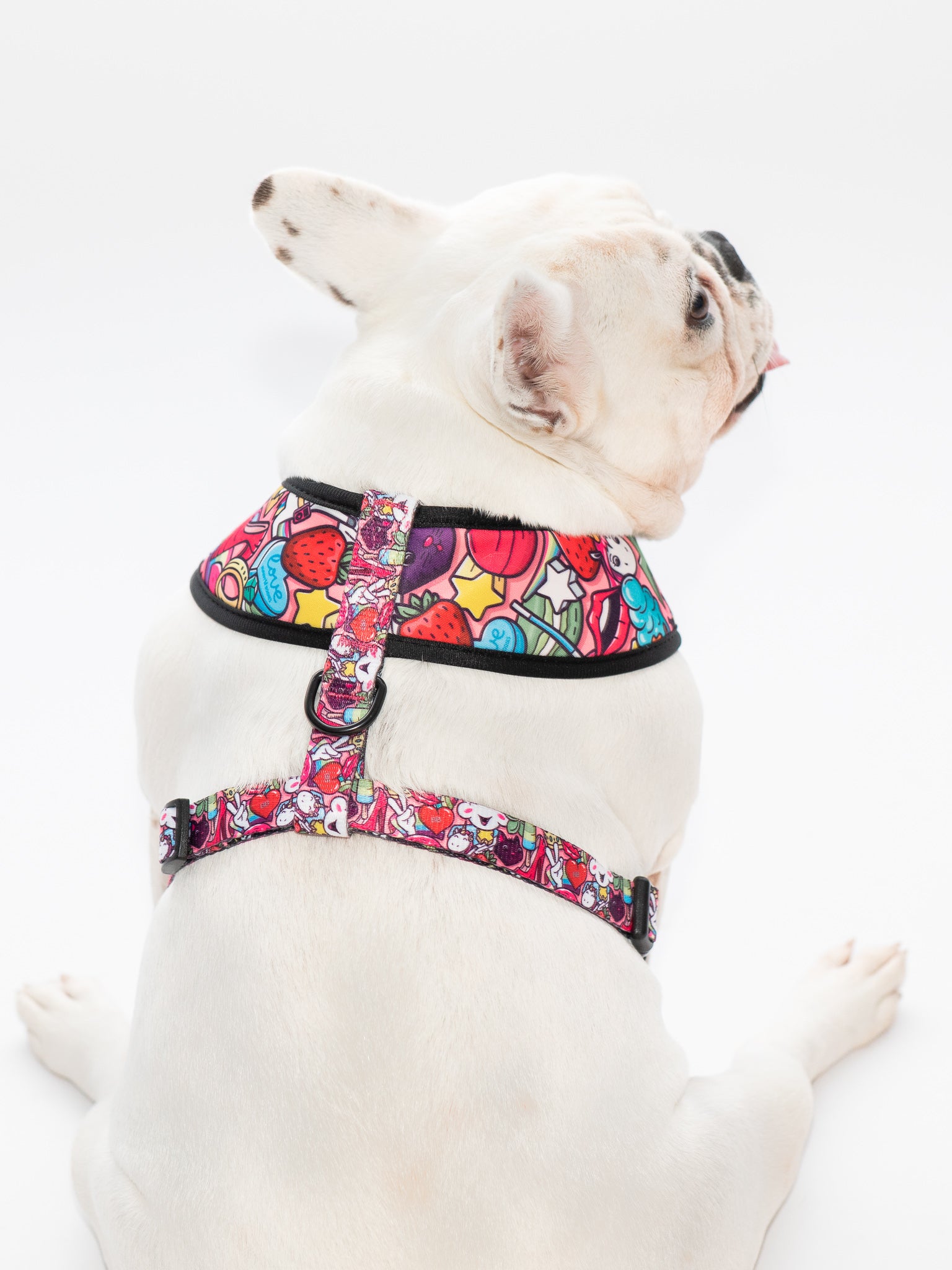 Euphoria X Brainfreeze Reversible Harness